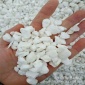 供应白色鹅卵石 汉白玉白色水洗石子 白色水磨石子8-12mm厂家批发